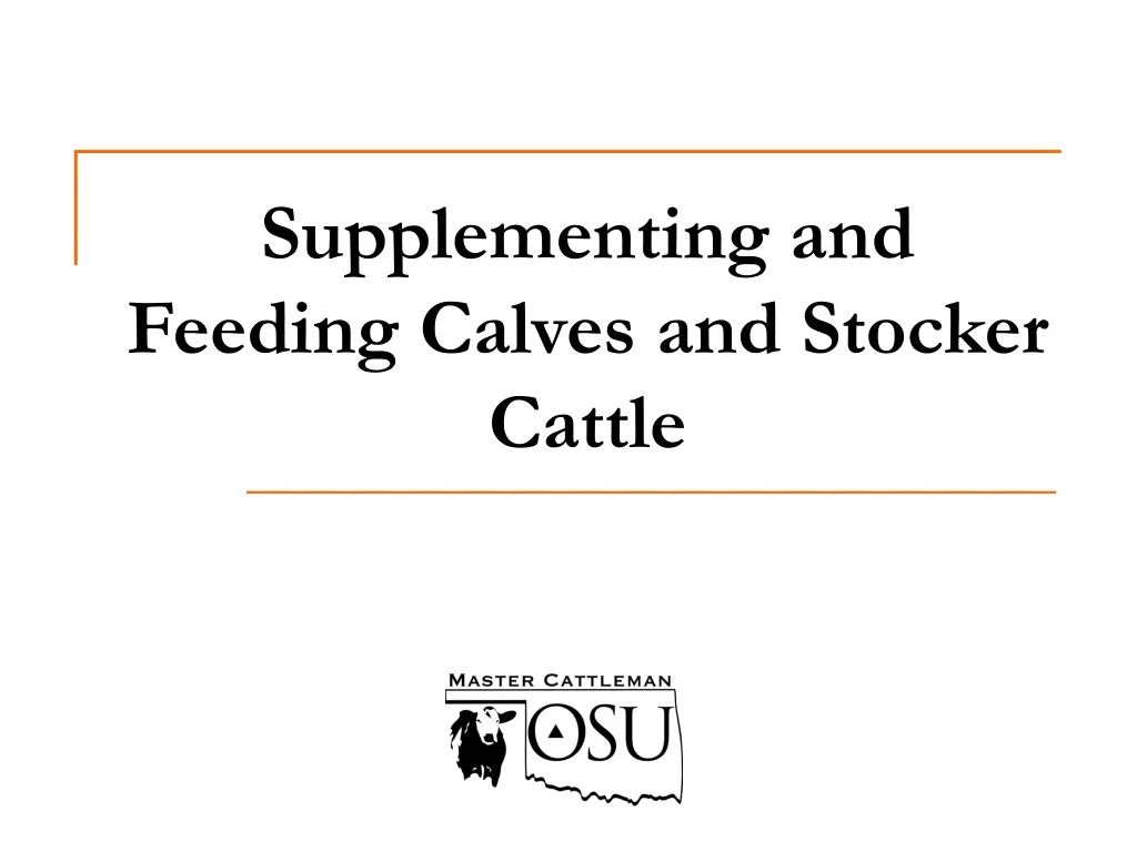 supplementing and feeding calves and stocker cattle
