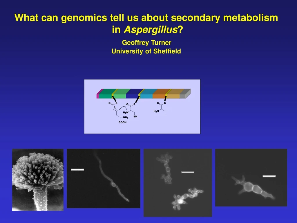 what can genomics tell us about secondary