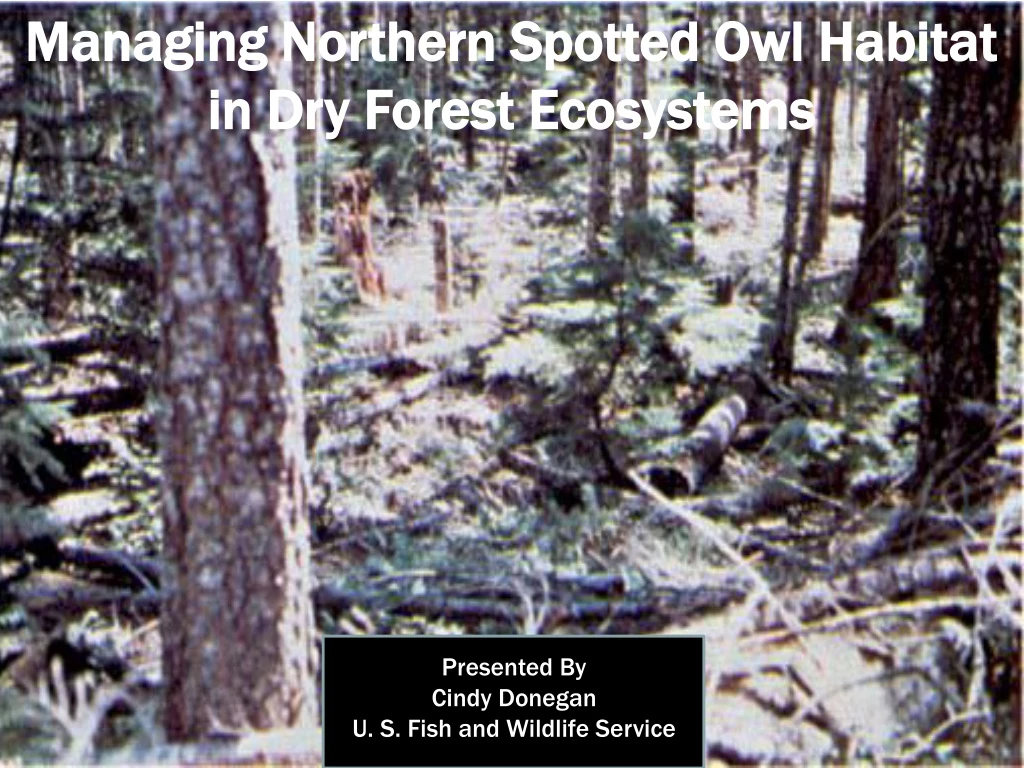managing northern spotted owl habitat