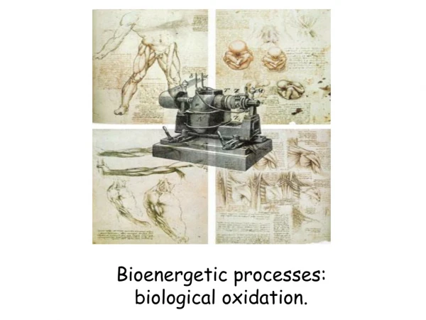 Bioenergetic processes: biological oxidation.