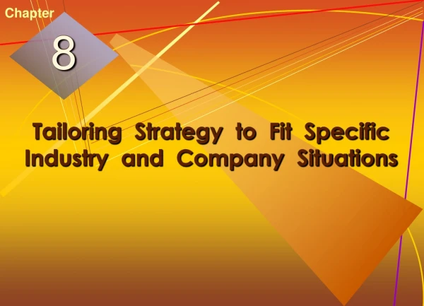 Tailoring  Strategy  to  Fit  Specific  Industry  and  Company  Situations