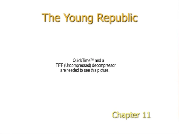 The Young Republic