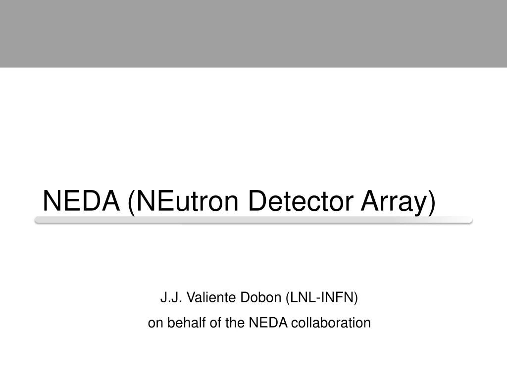 neda neutron detector array