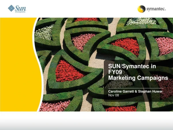 SUN/Symantec in FY09 Marketing Campaigns