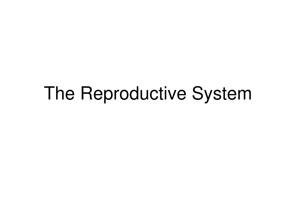 the reproductive system