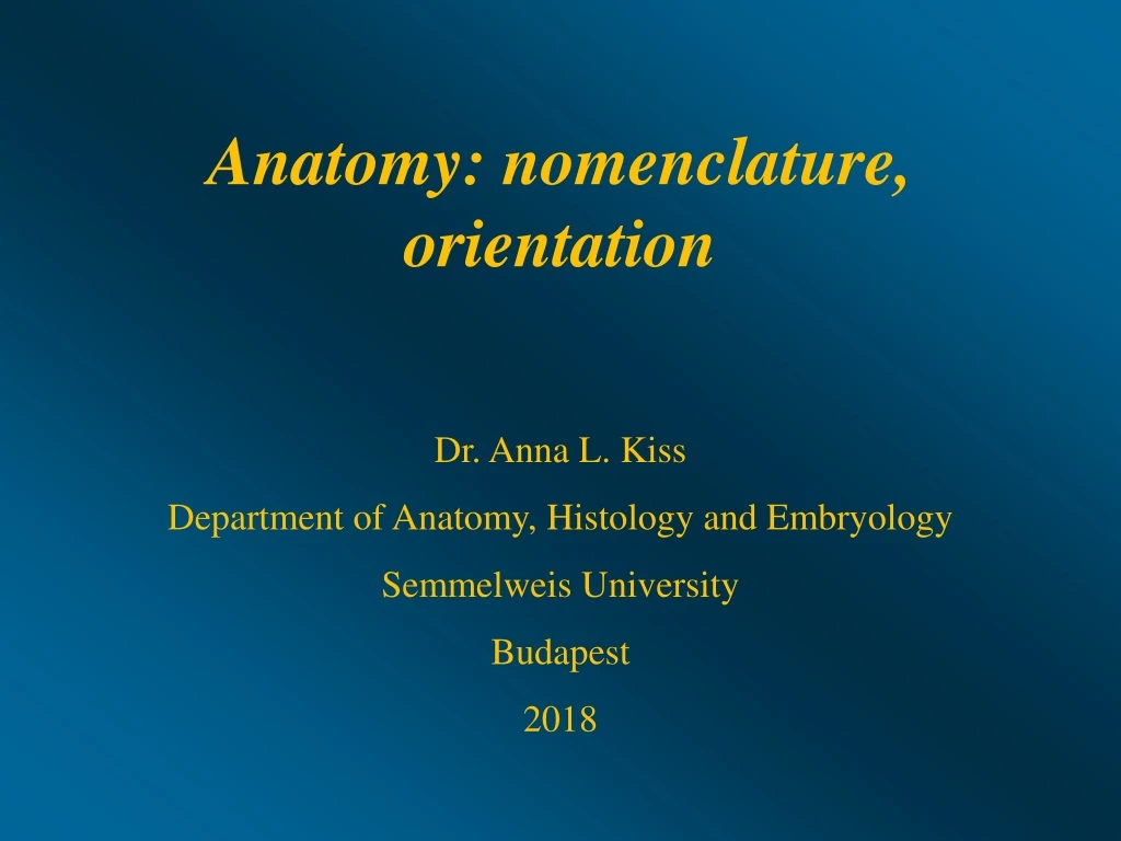 anatomy nomenclature orientation