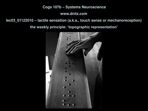 Cogs 107b – Systems Neuroscience dnitz