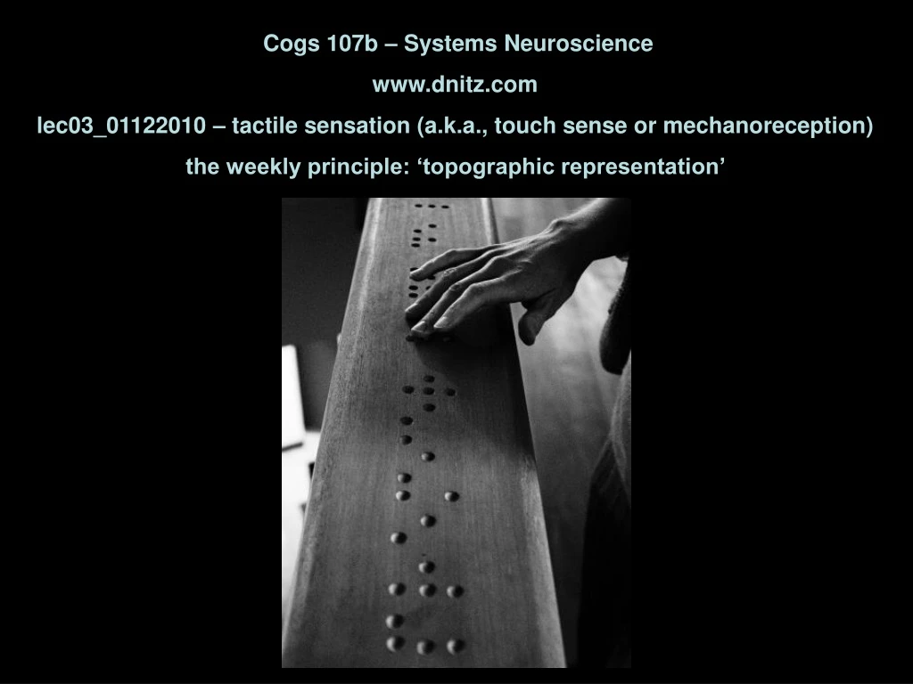 cogs 107b systems neuroscience www dnitz