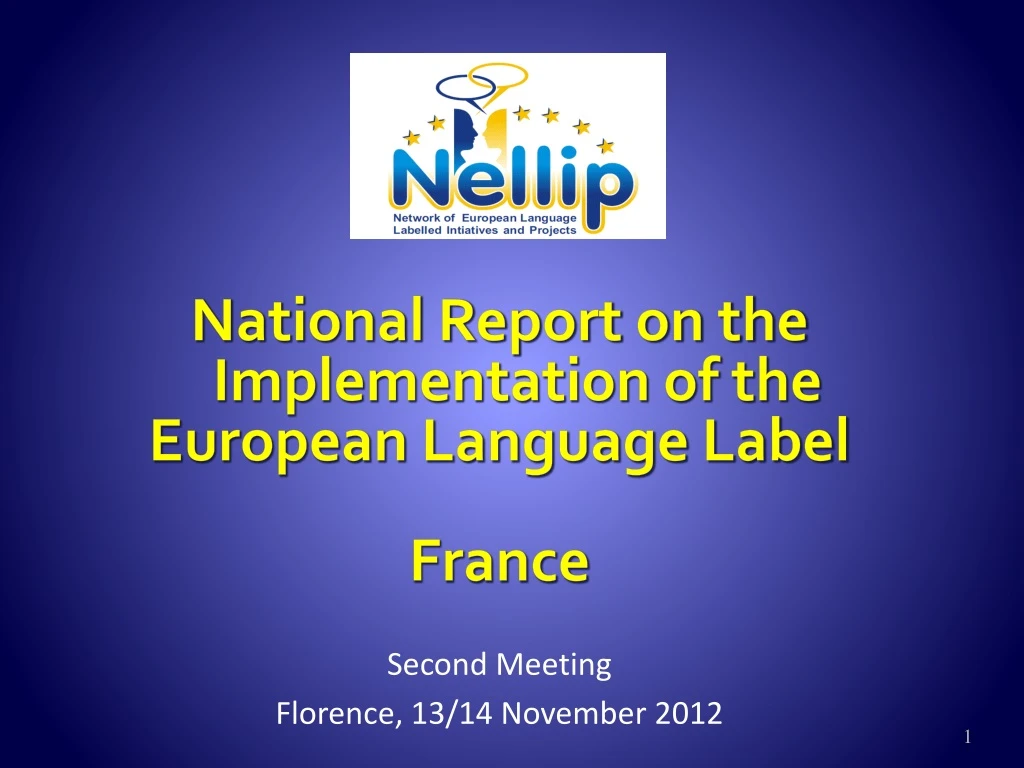 national report on the implementation