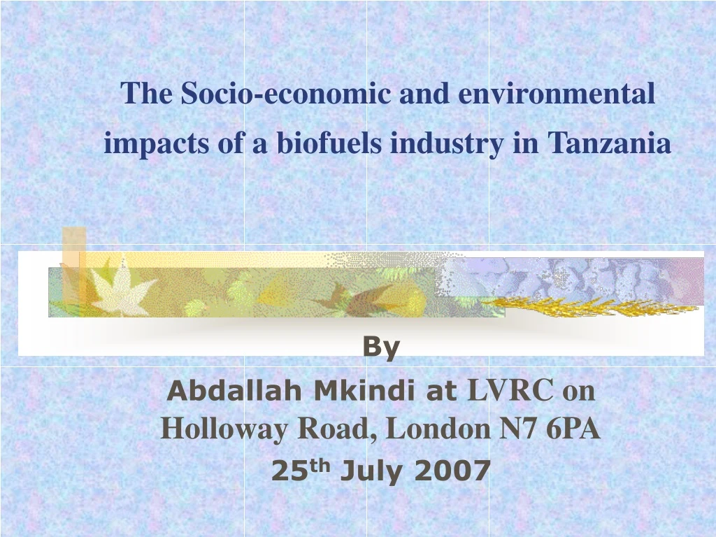 the socio economic and environmental impacts of a biofuels industry in tanzania