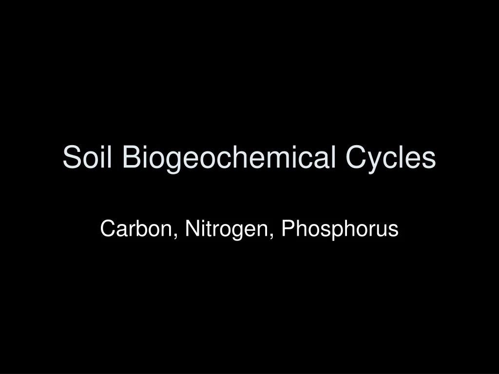 soil biogeochemical cycles