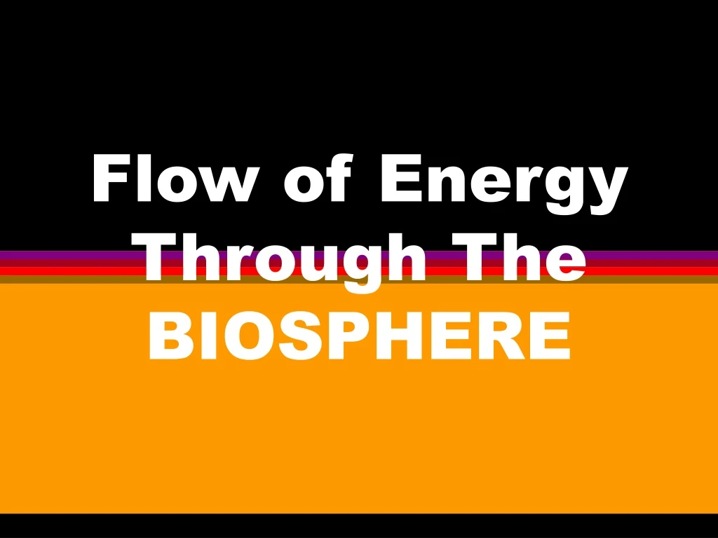 flow of energy through the biosphere