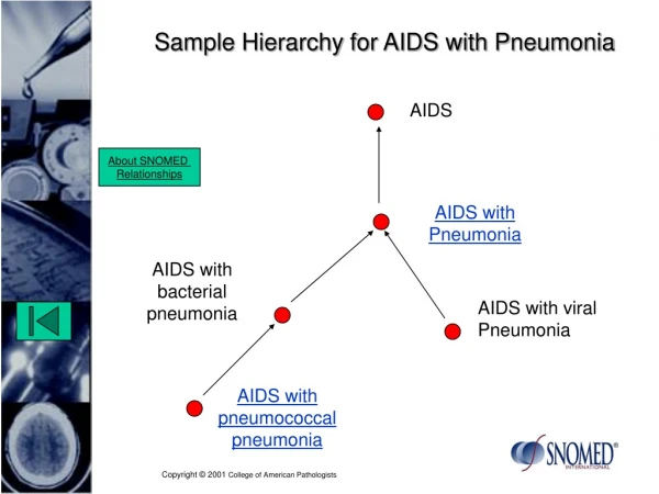 Sample Hierarchy for AIDS with Pneumonia