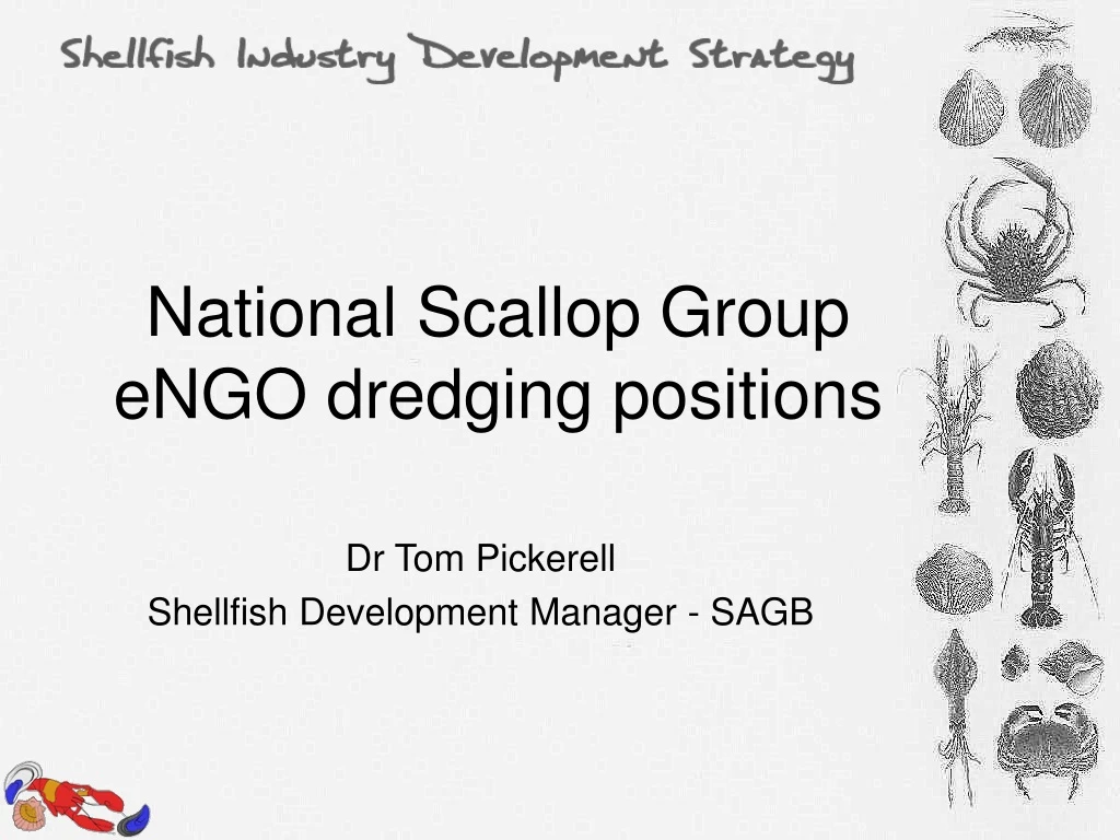 national scallop group engo dredging positions