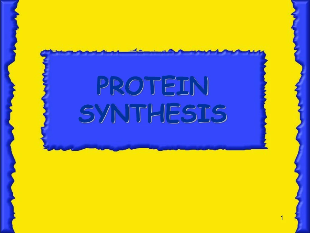 protein synthesis