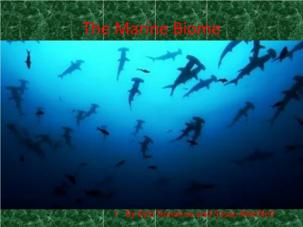 The Marine Biome
