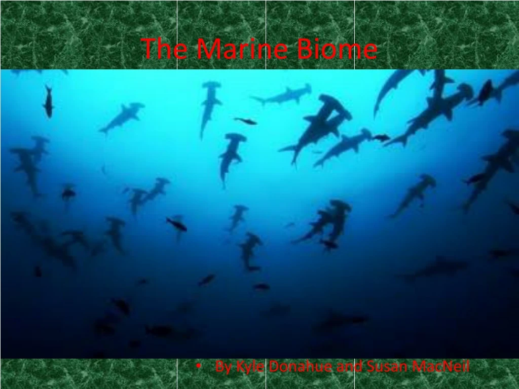 the marine biome