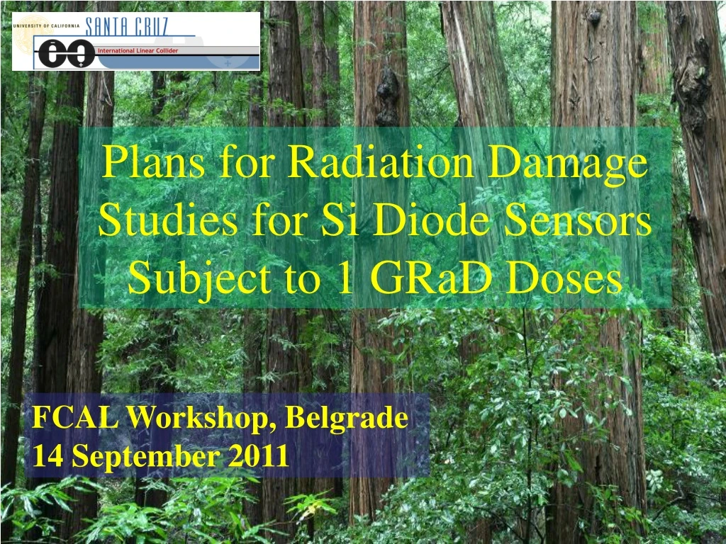 plans for radiation damage studies for si diode