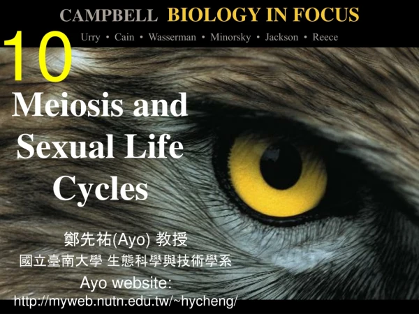 Meiosis and Sexual Life Cycles