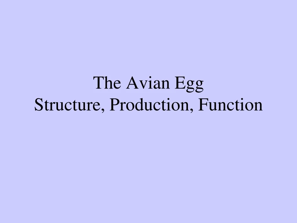 the avian egg structure production function