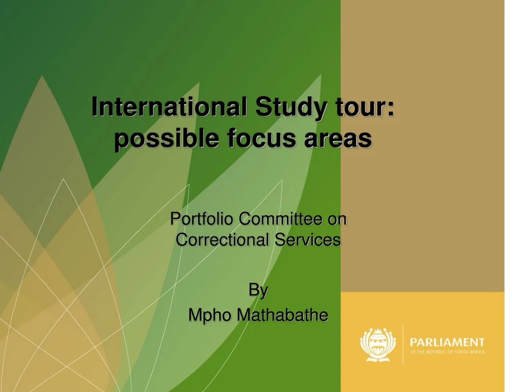 international study tour possible focus areas