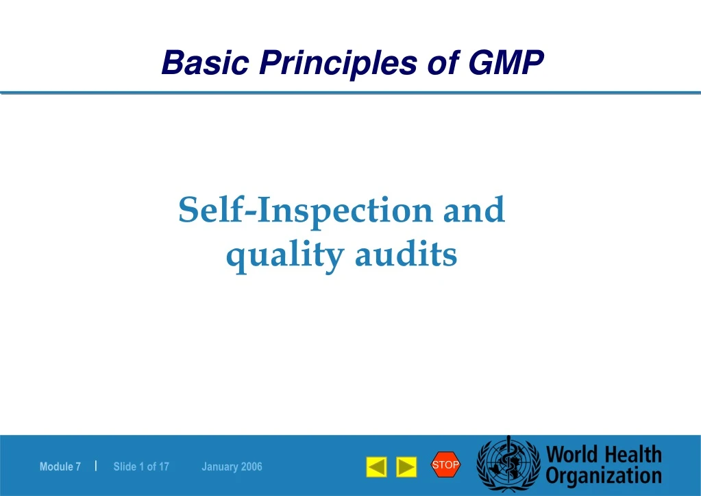 basic principles of gmp