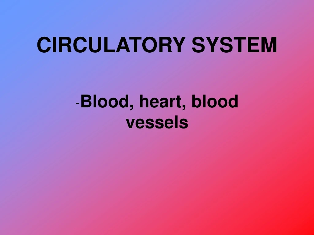 circulatory system