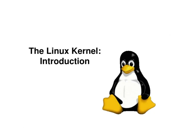 The Linux Kernel:  Introduction