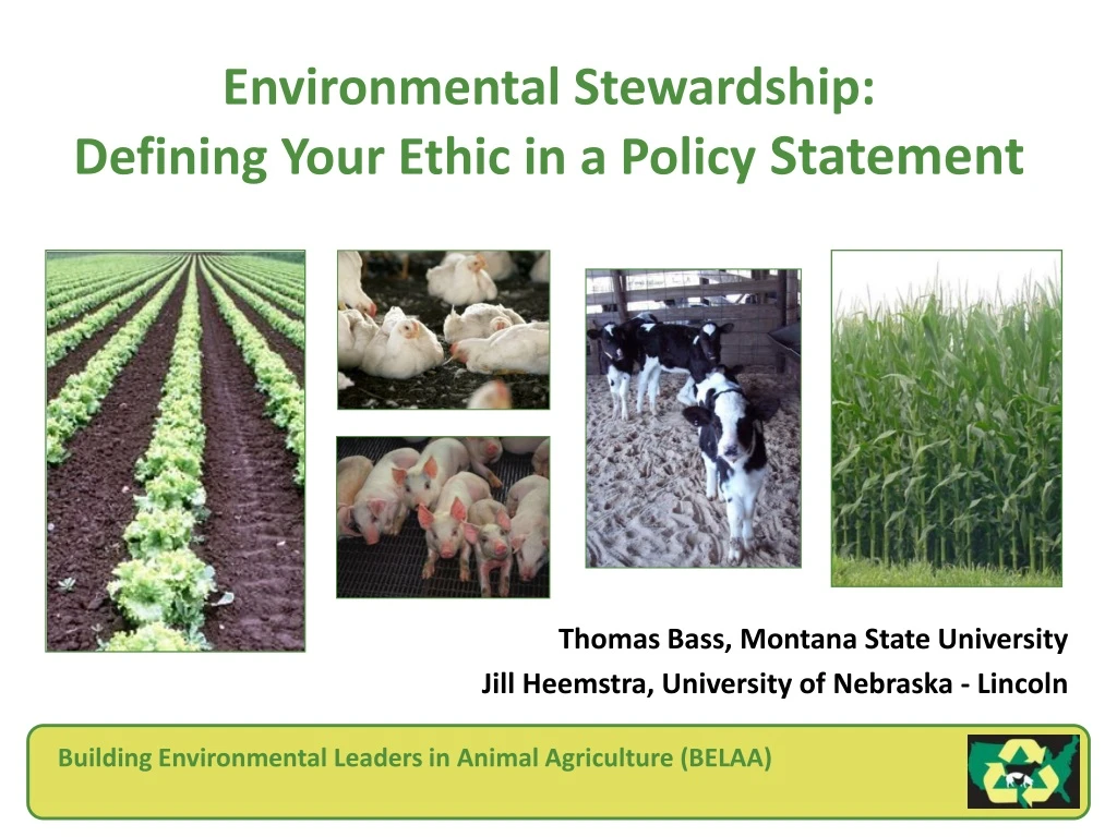 environmental stewardship defining your ethic in a policy statement