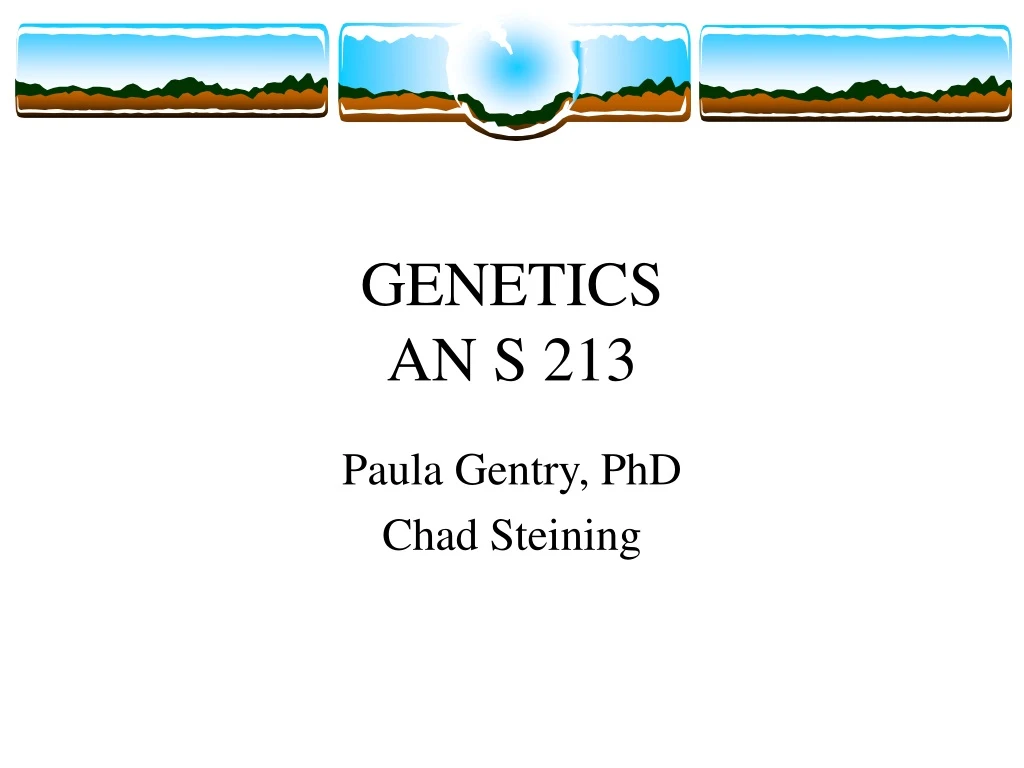 genetics an s 213