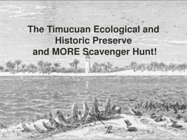 The Timucuan Ecological and  Historic Preserve  and MORE Scavenger Hunt!