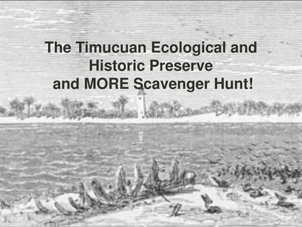 the timucuan ecological and historic preserve