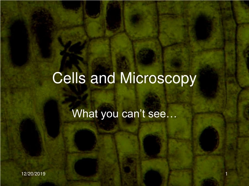 cells and microscopy