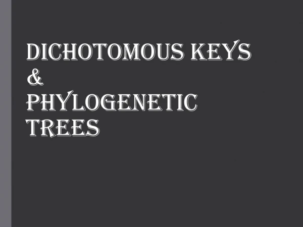 Dichotomous Keys &amp; Phylogenetic Trees