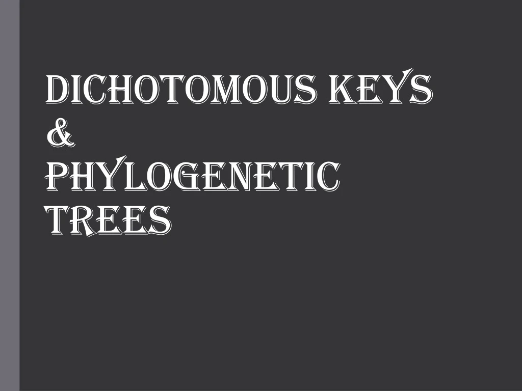 dichotomous keys phylogenetic trees
