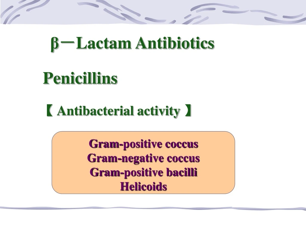 lactam antibiotics