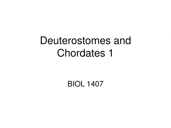 Deuterostomes and Chordates 1