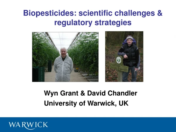 Wyn Grant &amp; David Chandler University of Warwick, UK