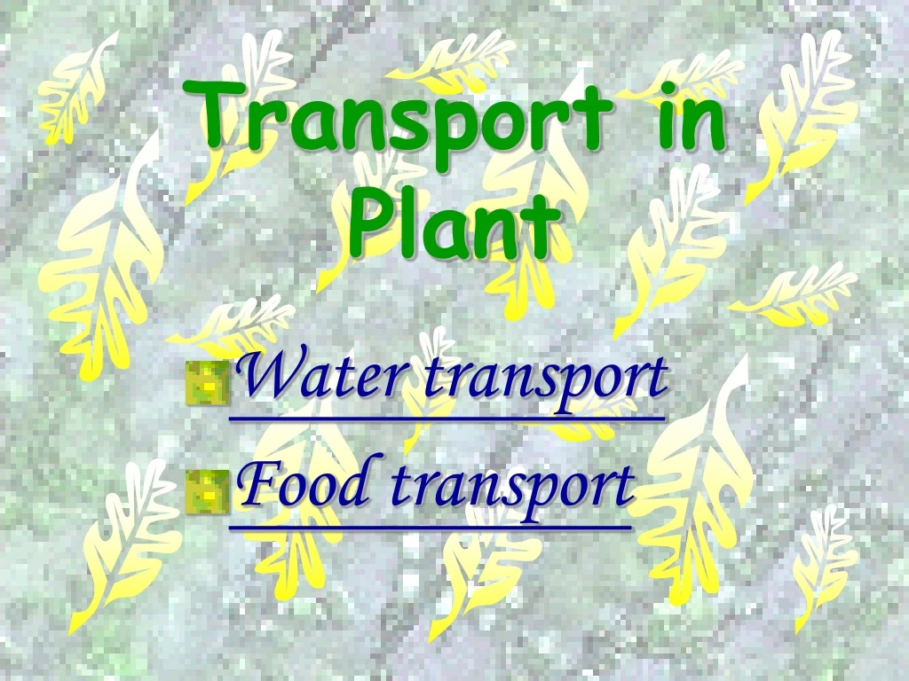 transport in plant