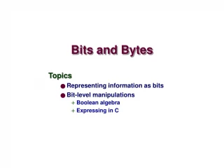 Binary Representations in C Programming - slide 1
