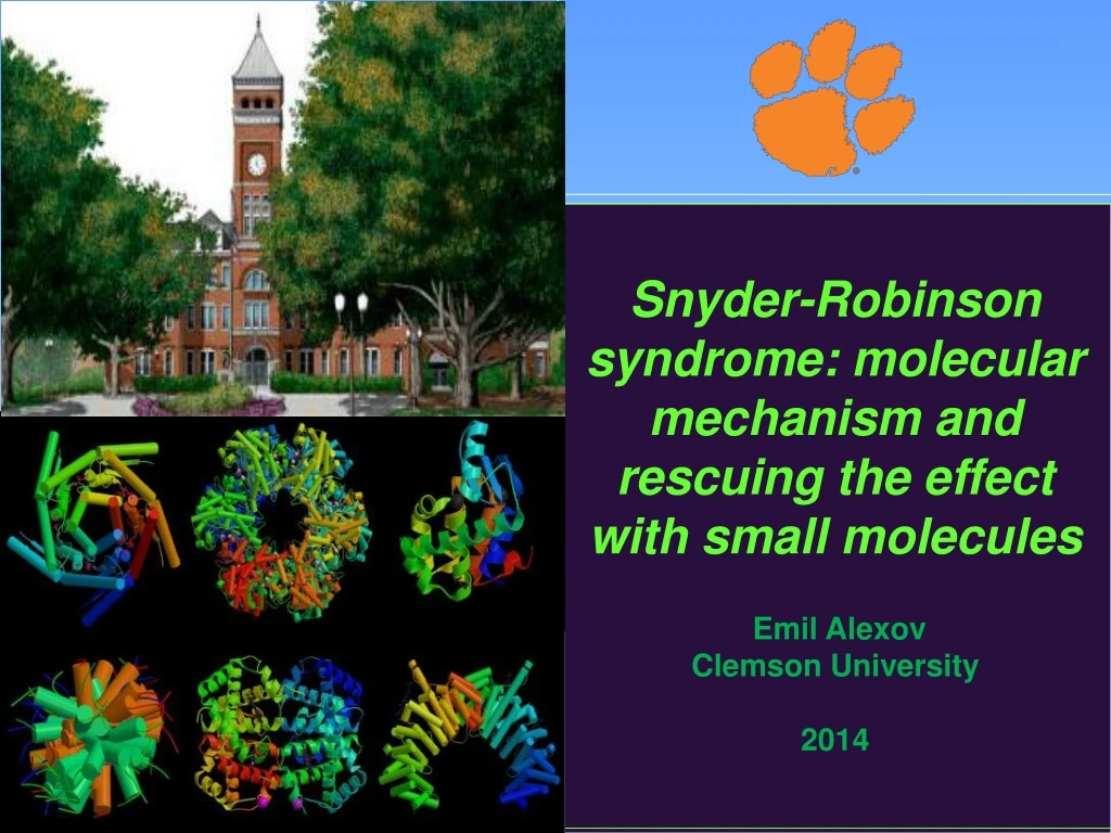 snyder robinson syndrome molecular mechanism