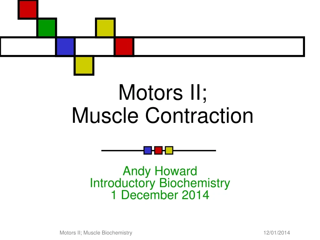 motors ii muscle contraction