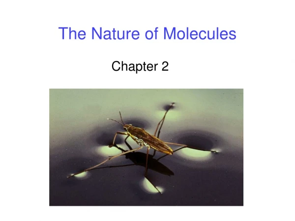 The Nature of Molecules