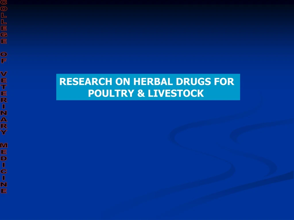 research on herbal drugs for poultry livestock