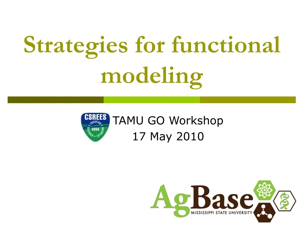 strategies for functional modeling