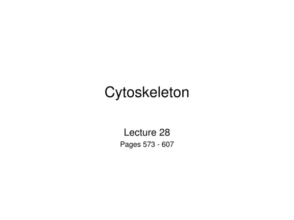 Cytoskeleton