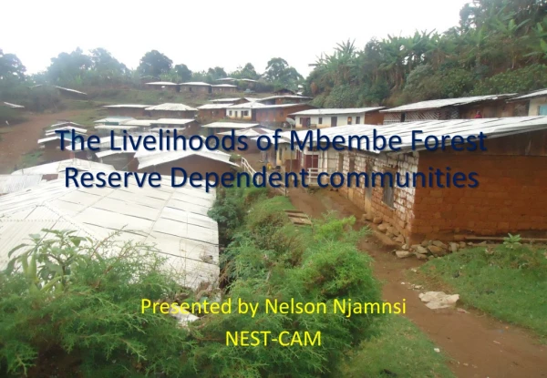The Livelihoods of  Mbembe  Forest Reserve Dependent communities