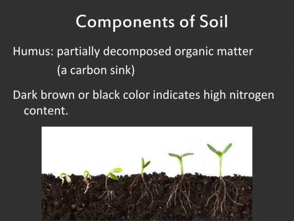 Components of Soil Humus: partially decomposed organic matter 		     (a carbon sink)
