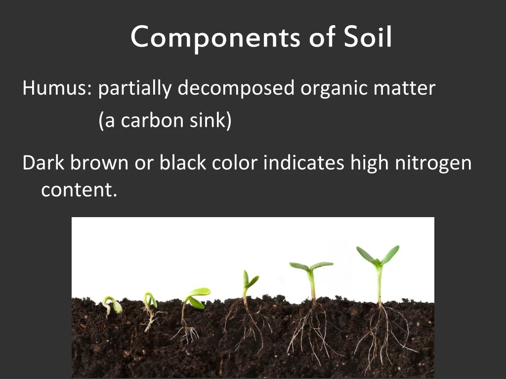 components of soil humus partially decomposed