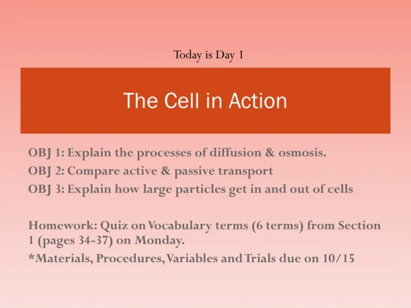 The Cell in Action